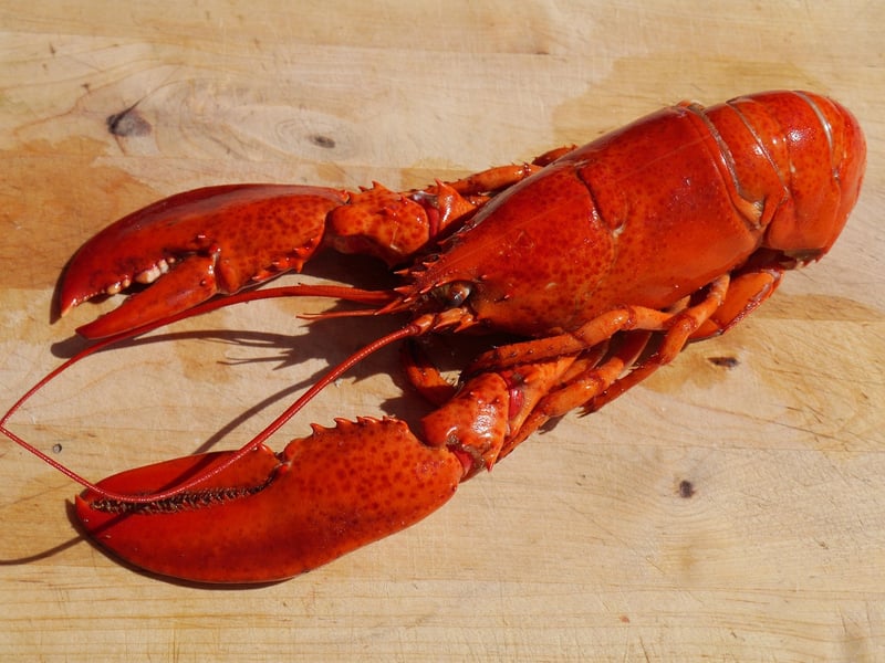 Sustainable seafood